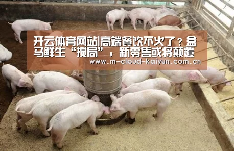 开云体育网站|高端餐饮不火了?盒马鲜生“搅局”,新零售或将颠覆餐饮行业(图1) kaiyuan sports