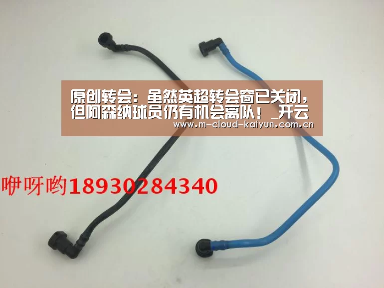 开云体育网站