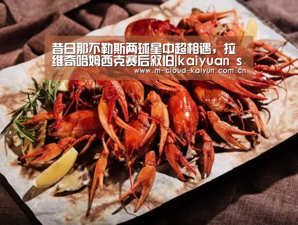 开云体育官网