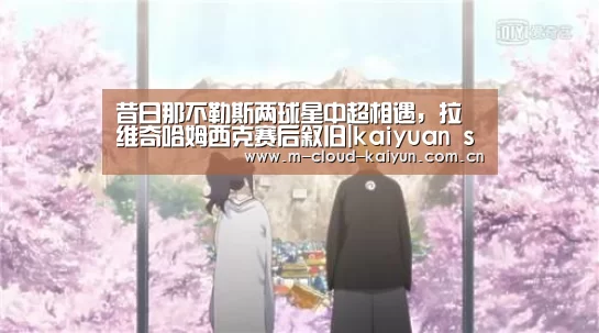 开云体育官网