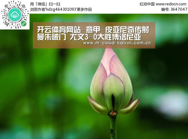 开云体育官网