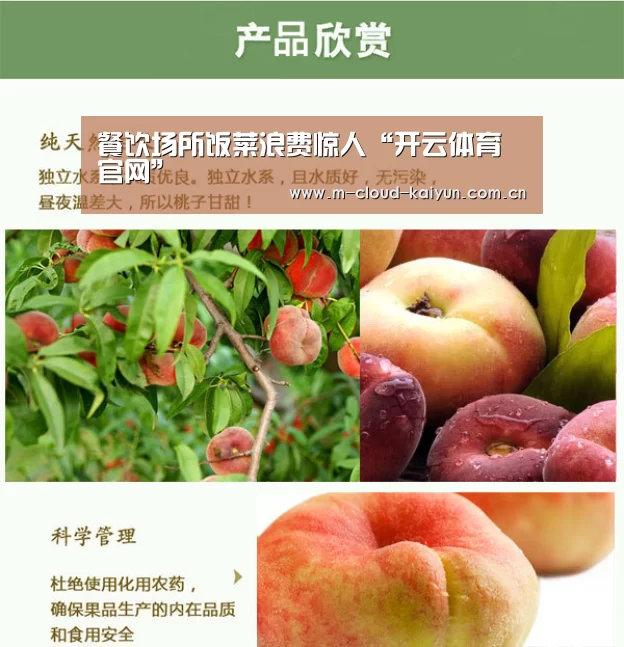 餐饮场所饭菜浪费惊人“开云体育官网”(图1) 开云体育网站