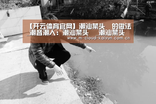 【开云体育官网】潮汕菜头粿的做法_潮音潮人:潮汕菜头粿_潮汕菜头粿怎么做_潮音潮人的菜谱(图1) kaiyuan sports