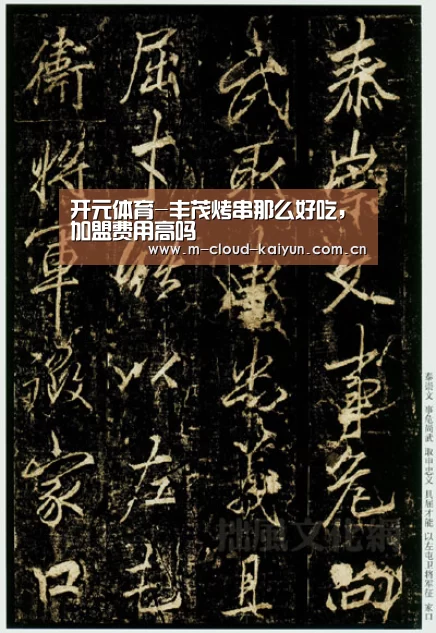 开元体育-丰茂烤串那么好吃,加盟费用高吗(图3) 开云体育网站